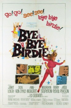 poster Bye Bye Birdie