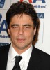 photo Benicio Del Toro