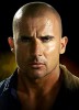 photo Dominic Purcell