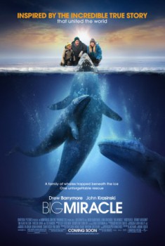 poster Big Miracle