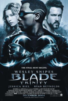 poster Blade: Trinity
          (2004)
        