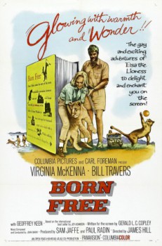 poster Born Free
          (1966)
        