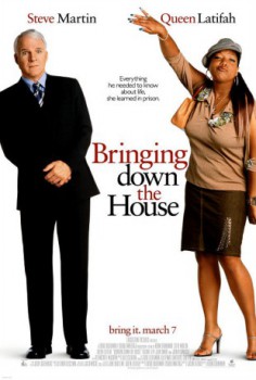 poster Bringing Down the House
          (2003)
        