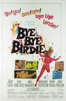 poster Bye Bye Birdie
          (1963)
        