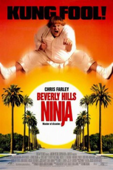 poster Beverly Hills Ninja
          (1997)
        